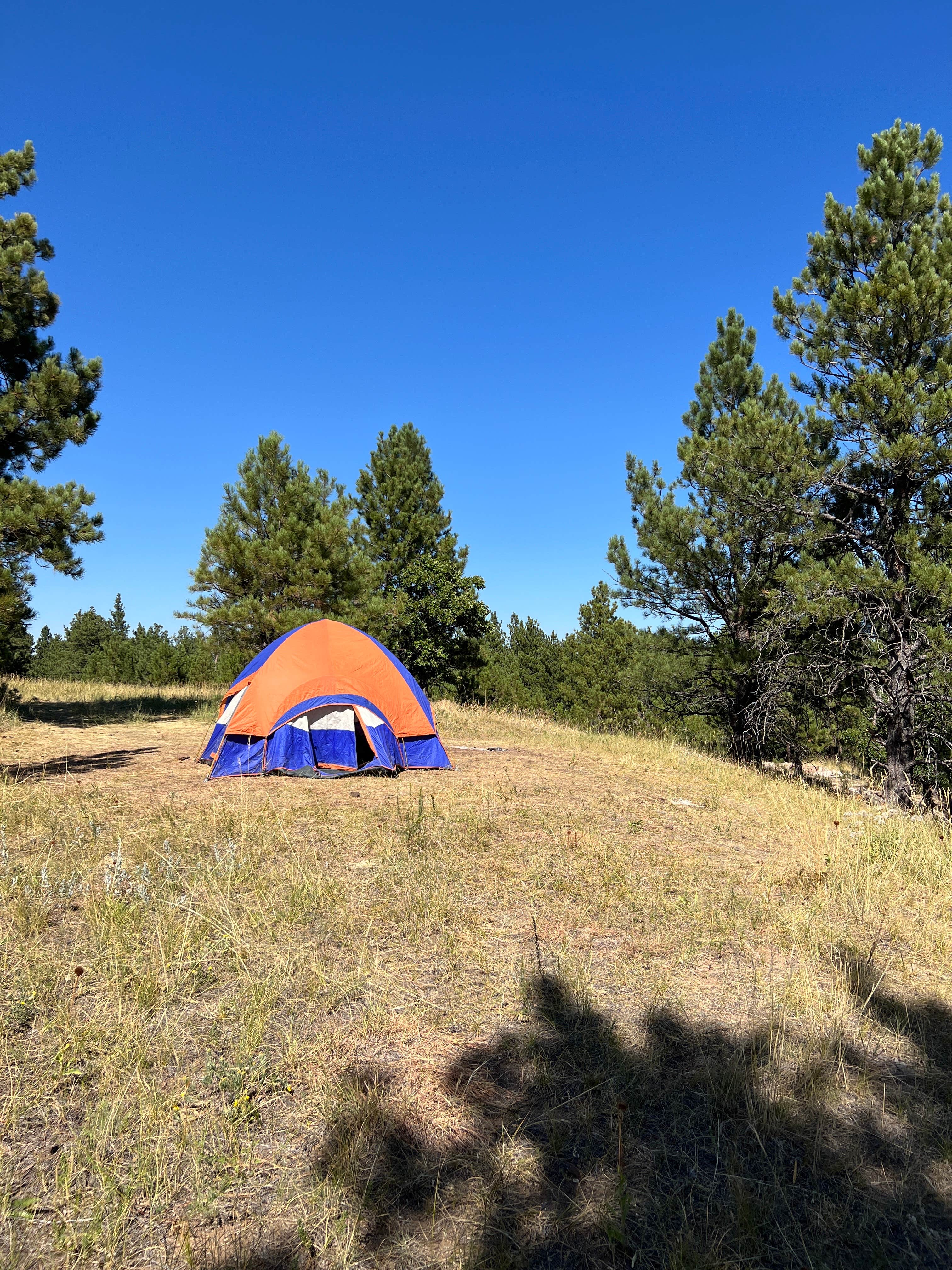 Camper-submitted photo at Storm Hill BLM Land Dispersed Site near Devils Tower National Monument