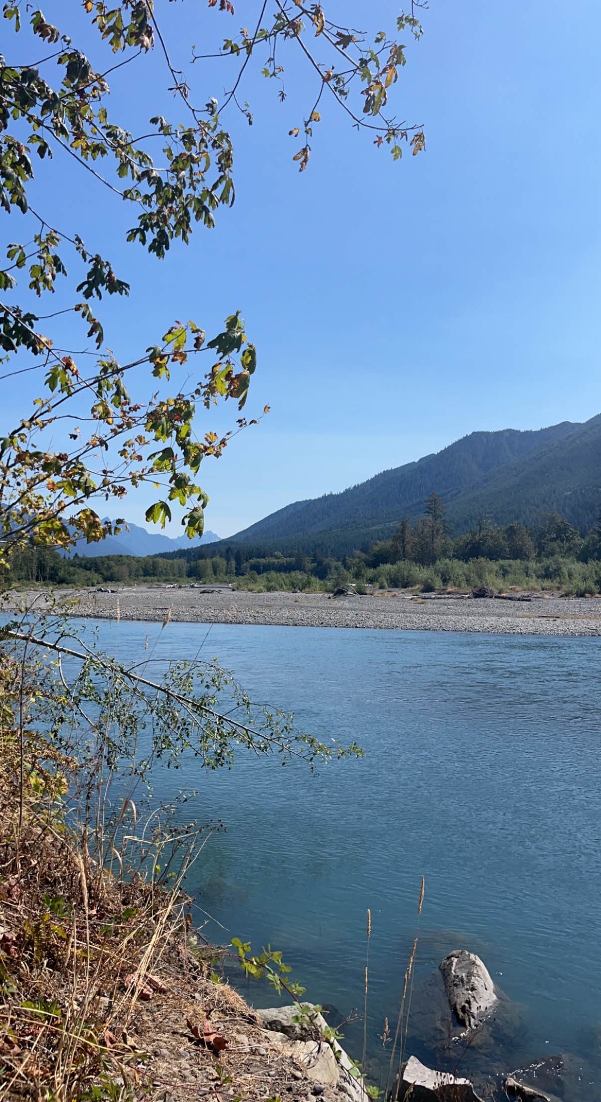 Lindsay T.'s photo of a dispersed camping area at Hoh River Dispersed Camping near Forks, WA