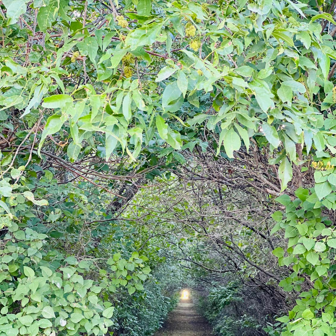 Jamestown Campground Camping The Dyrt