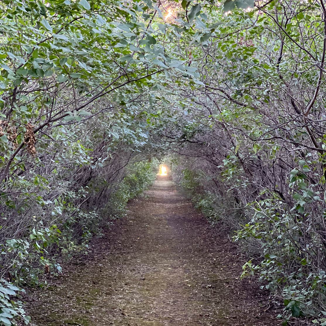 Jamestown Campground Camping The Dyrt