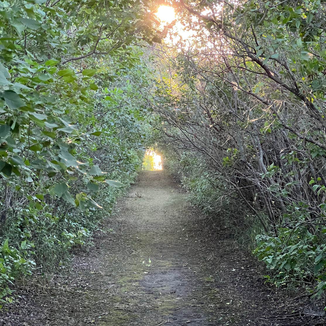 Jamestown Campground Camping The Dyrt