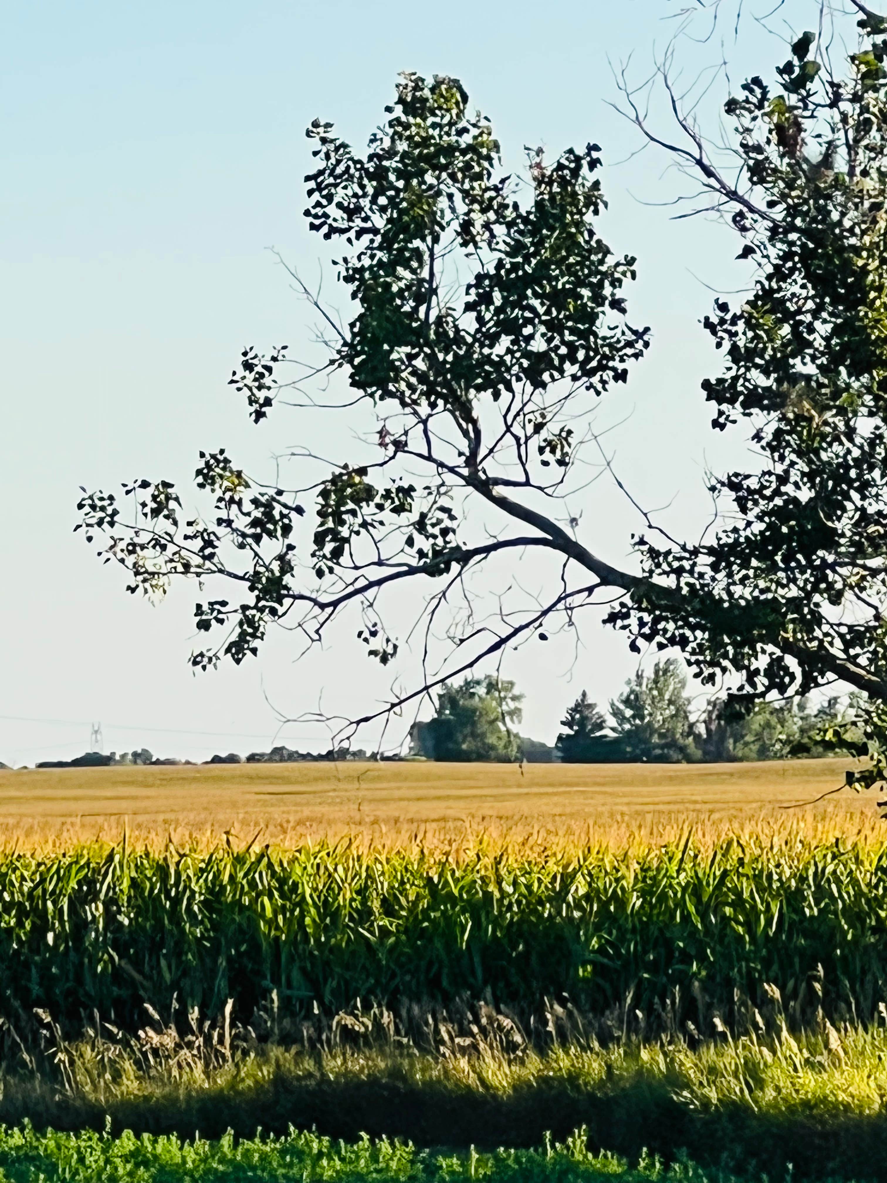 Camper-submitted photo at Jamestown Campground near Kensal, ND