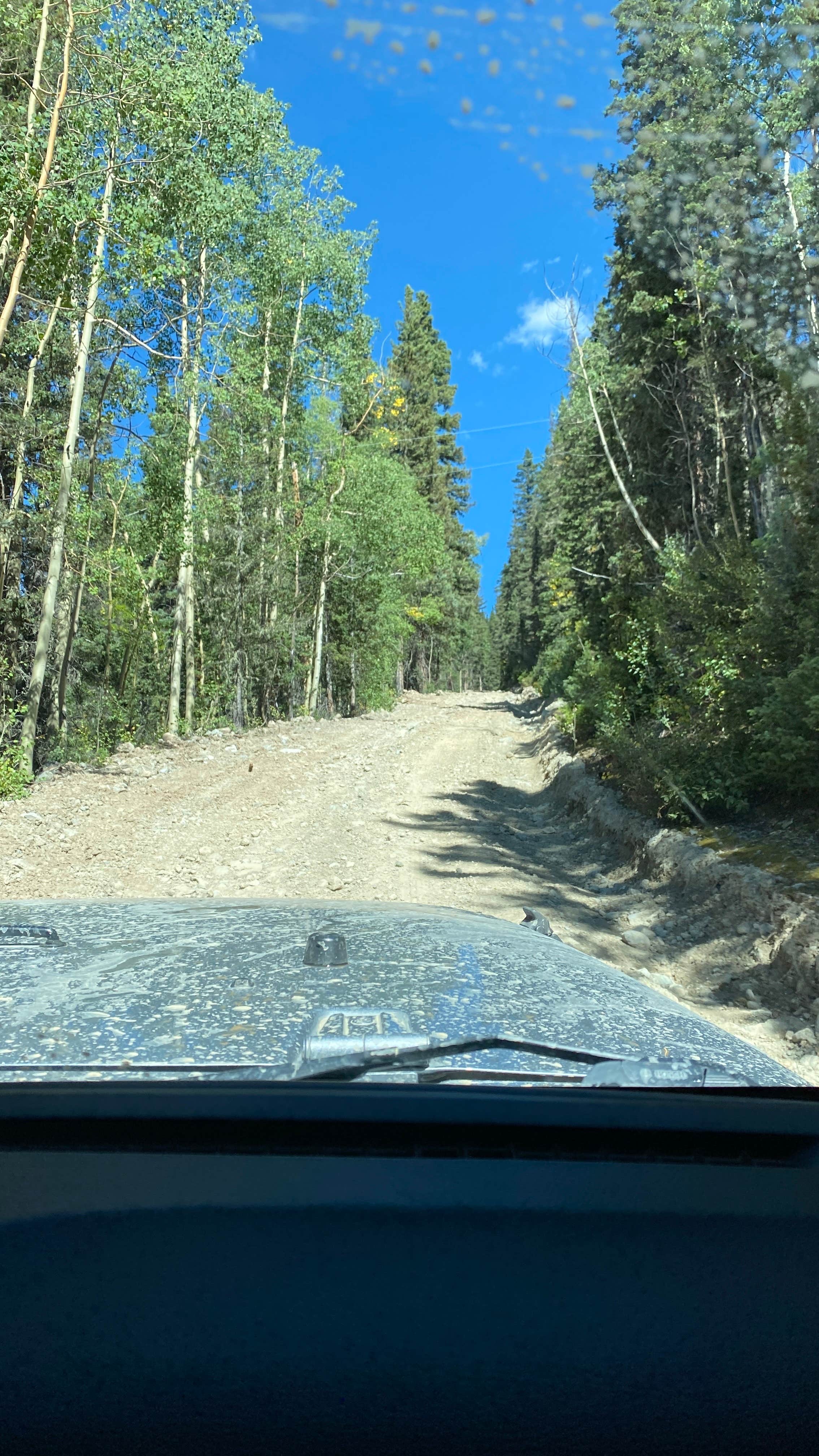 Camper submitted image from Silverton 20A - Dispersed - 3