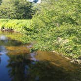 Review photo of Chapman State Park Campground by Ethan G., July 25, 2018