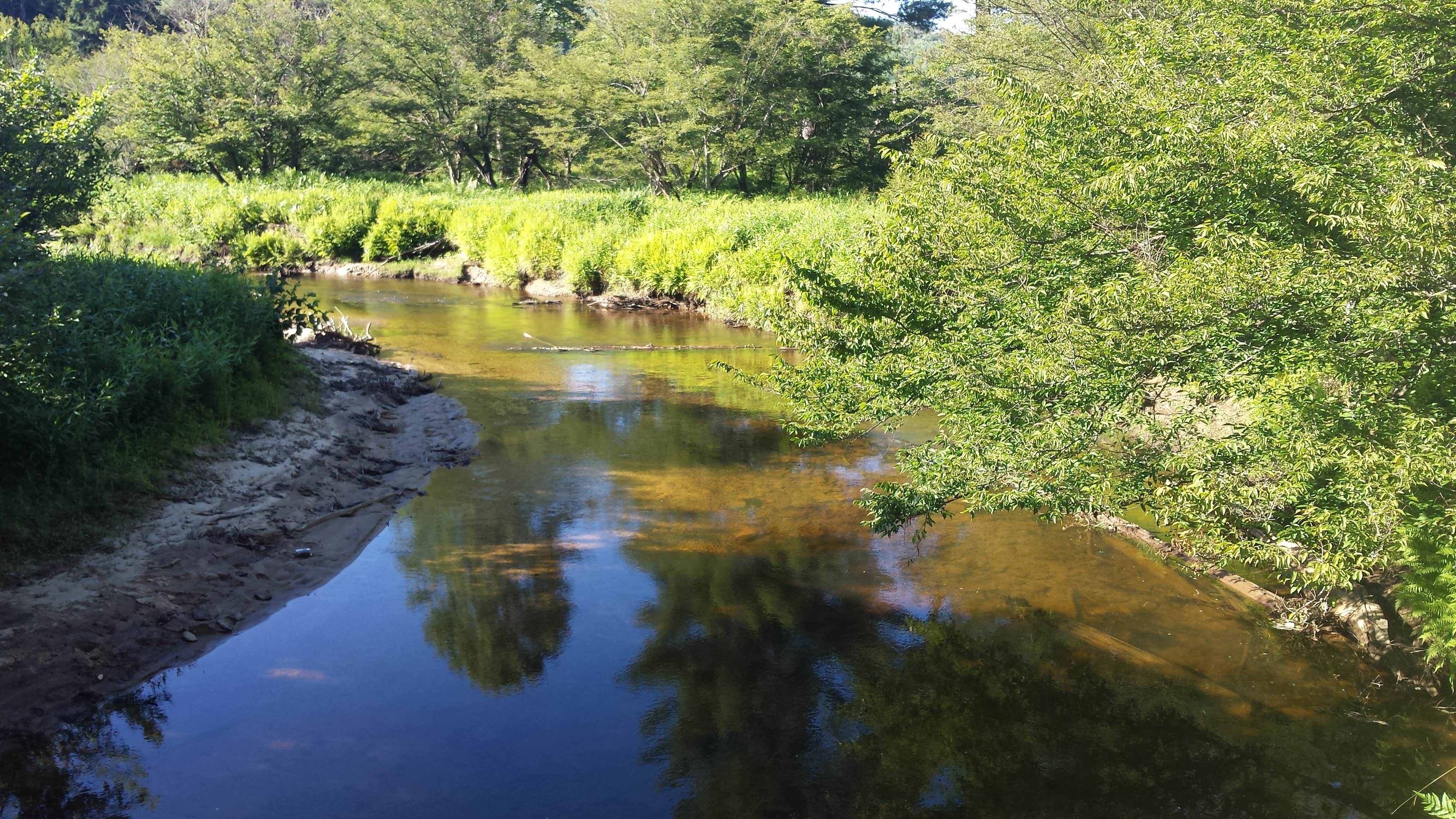 Camper submitted image from Chapman State Park Campground - 5