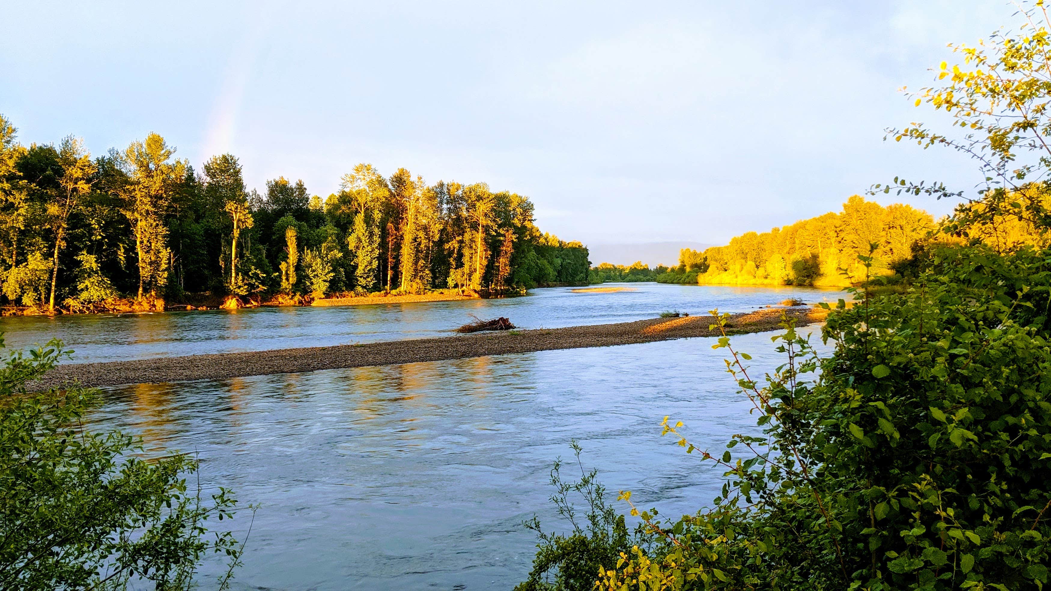 Camping near Eugene Mobile Village & RV Park: Hues Flower Farm & Nursery, Junction City, Oregon