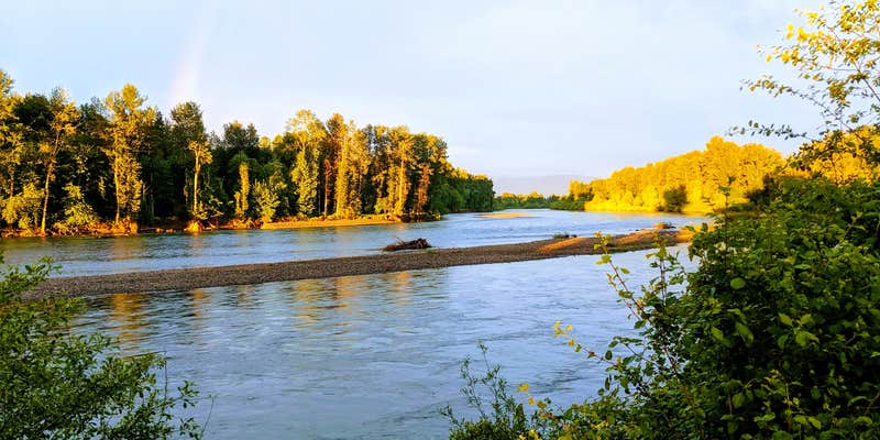 Camper submitted image from Hues Flower Farm & Nursery