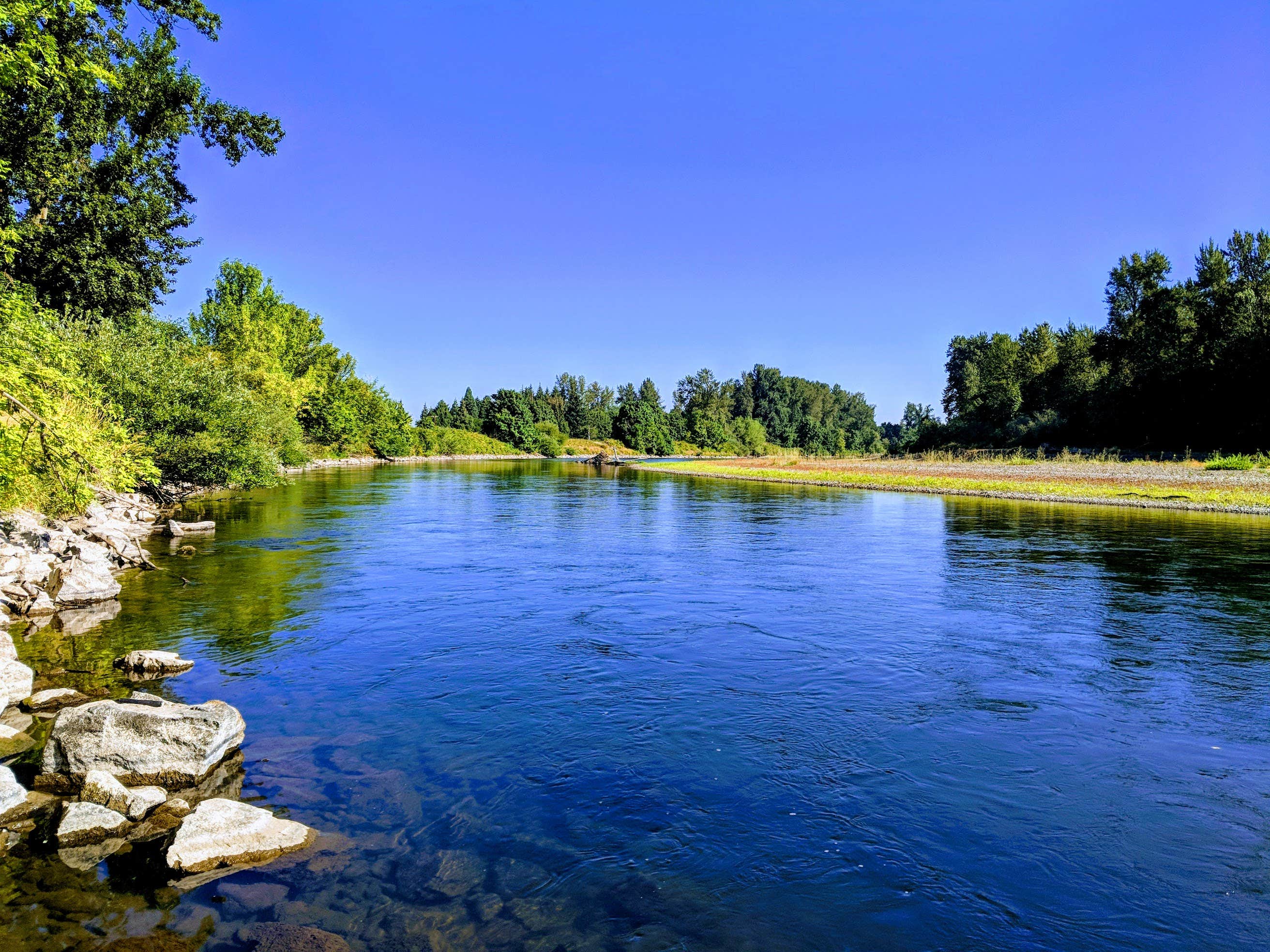 Camper-submitted photo at Hues Flower Farm & Nursery near Eugene, OR