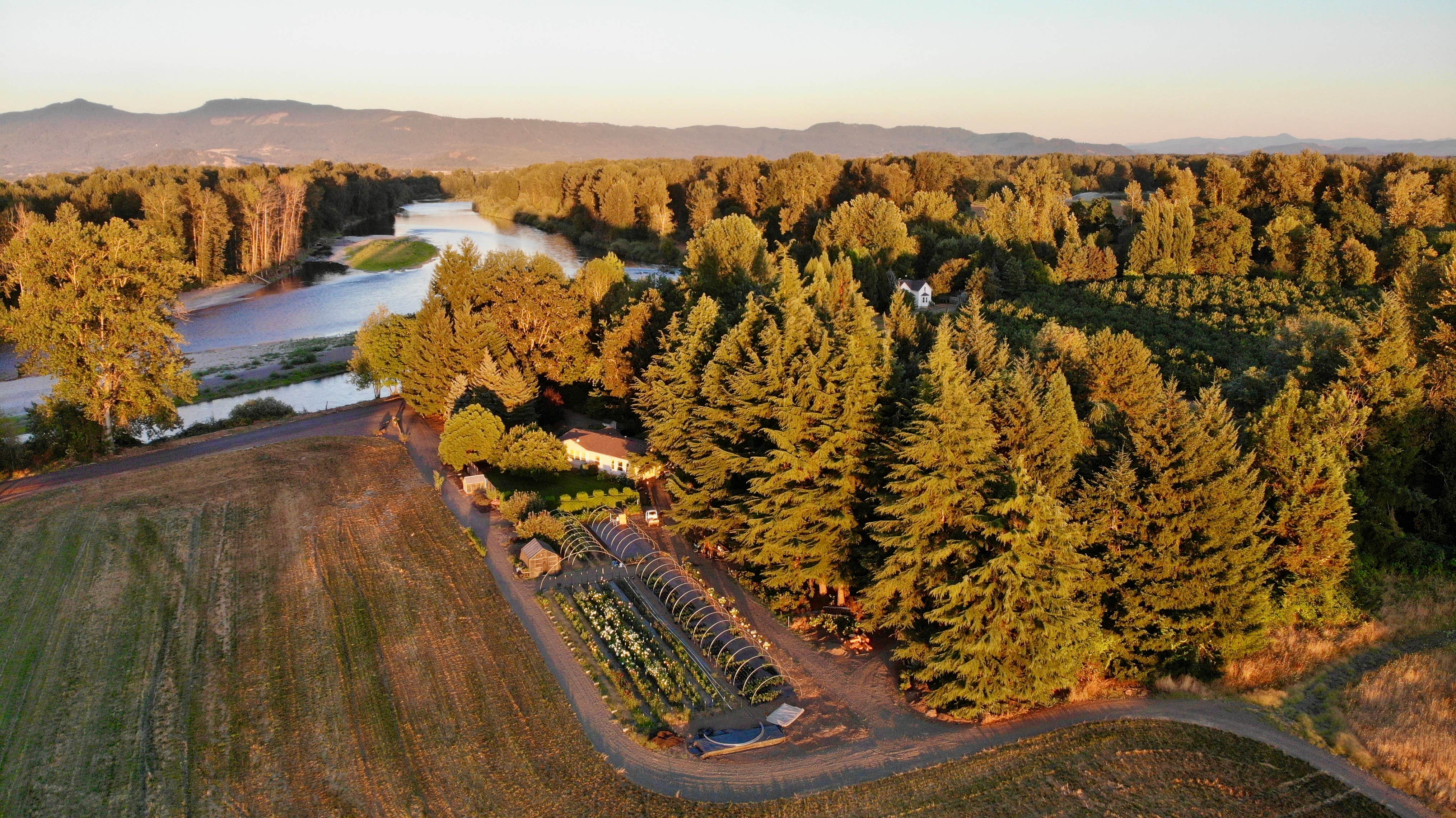 Camper-submitted photo at Hues Flower Farm & Nursery near Eugene, OR