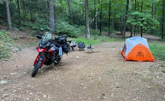 Ryan W.'s photo at Wells State Park Campground near Ludlow, MA