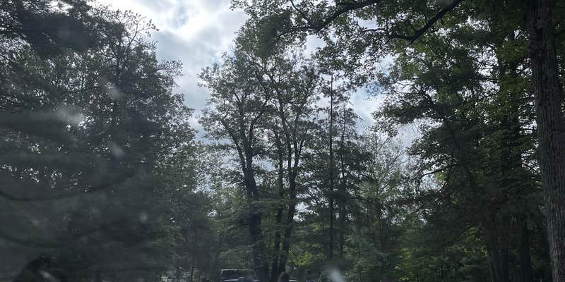 Camper submitted image from Higgins Lake-Roscommon KOA