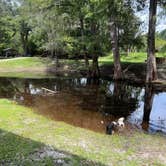 Review photo of Suwannee River Rendezvous Resort by Amanda W., September 5, 2022