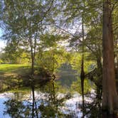 Review photo of Suwannee River Rendezvous Resort by Amanda W., September 5, 2022