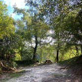 Review photo of Suwannee River Rendezvous Resort by Amanda W., September 5, 2022