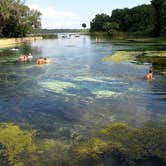 Review photo of Salt Springs Recreation Area by Amy M., September 5, 2022