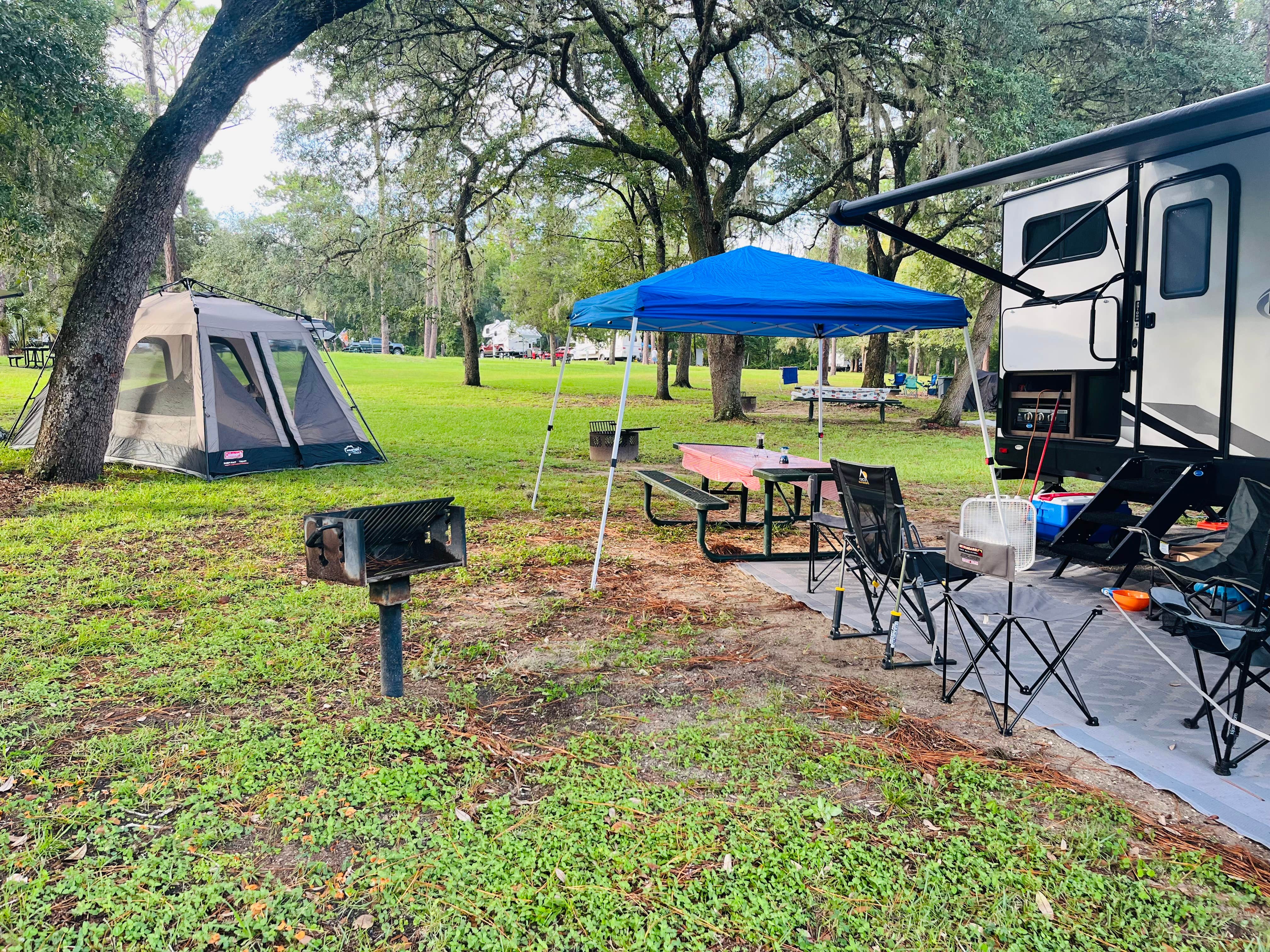 Amy M.'s photo at Salt Springs Recreation Area near National Forests in Florida