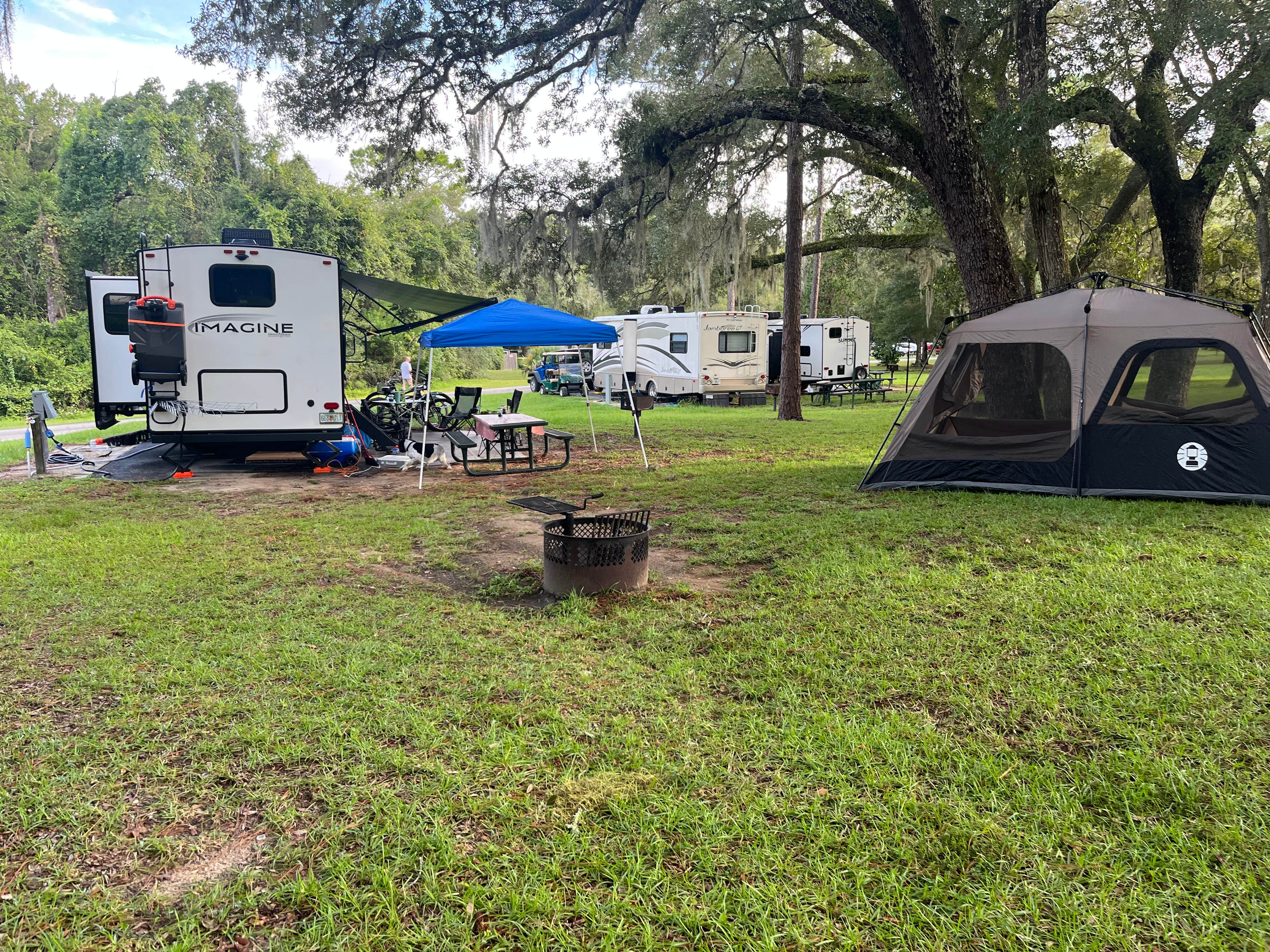 Amy M.'s photo at Salt Springs Recreation Area near Pomona Park, FL