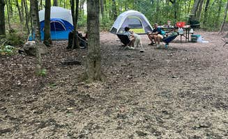 Denise S.'s photo at High Cliff State Park Campground near Kaukauna, WI