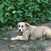 Review photo of Beavers Bend State Park Campground by Trish  ., July 25, 2018