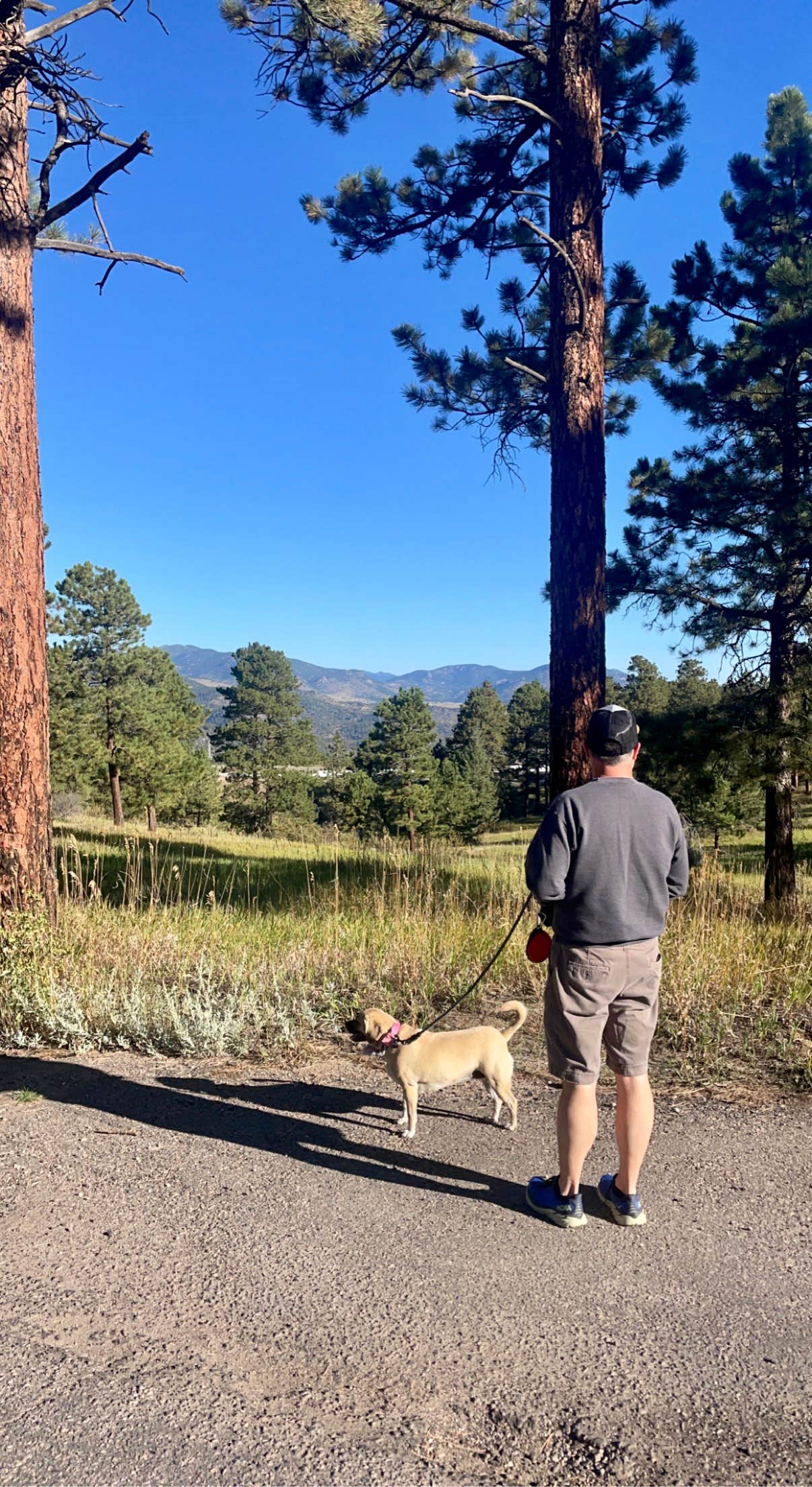 Stephanie S.'s photo of camping with pets at Chief Hosa Campground near Aurora, CO