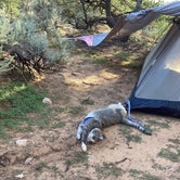 Review photo of Navajo National Monument Sunset View Campground by Chrissy B., September 5, 2022