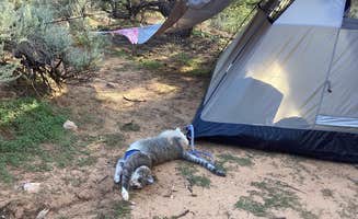 Chrissy B.'s photo at Navajo National Monument Sunset View Campground near Shonto, AZ