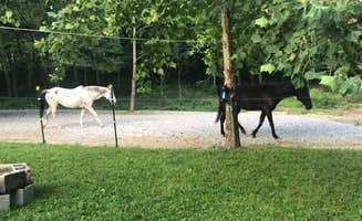 Laura K.'s photo of camping with a horse at King's Coach Stop near Baxter, TN