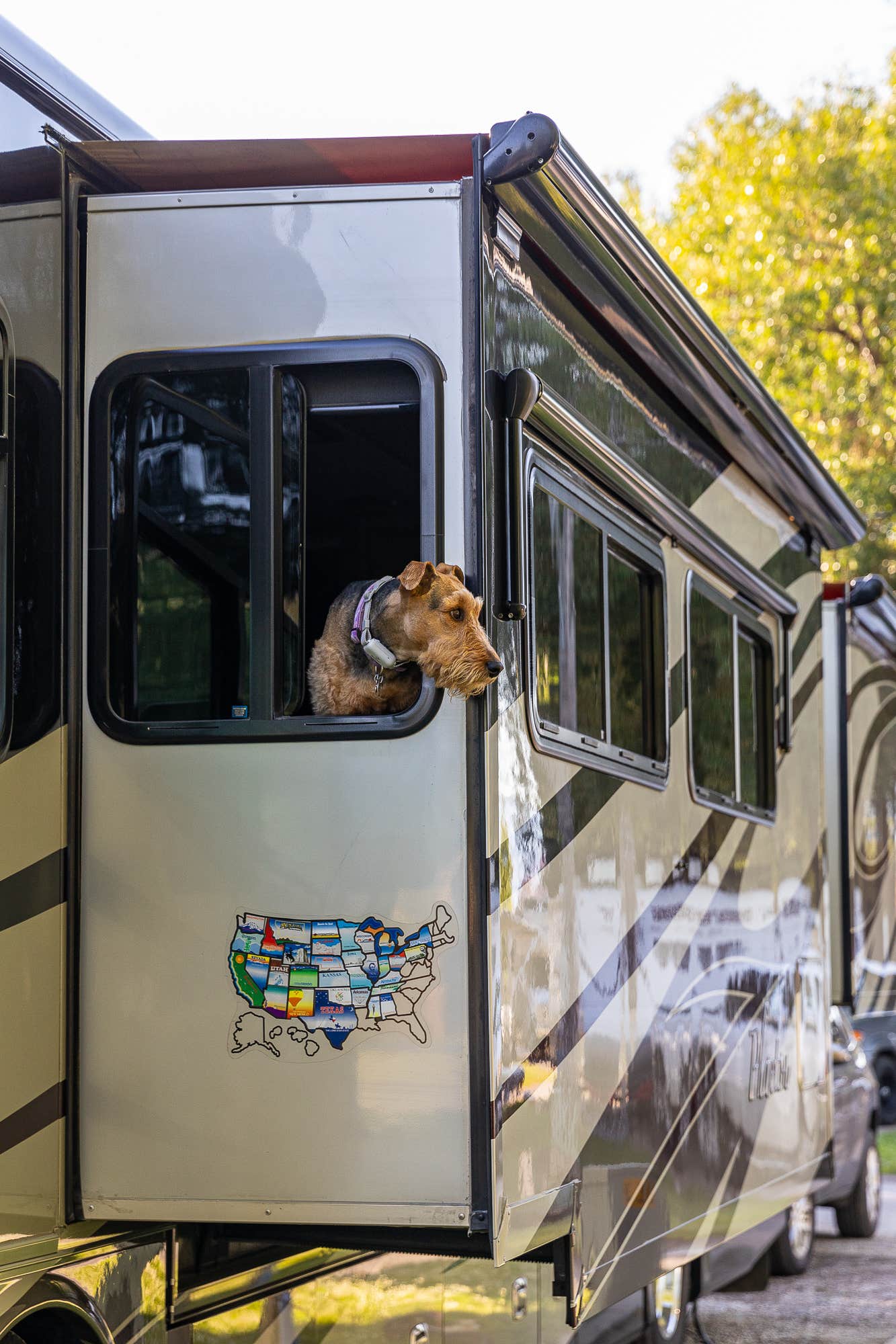 Linda's photo of camping with pets at Missoula KOA Holiday near Seeley Lake, MT