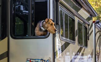 Linda's photo of camping with pets at Missoula KOA Holiday near Seeley Lake, MT