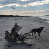 Review photo of Atlantic Beach Campground — Fort Clinch State Park by Cesar P., September 5, 2022