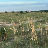 Review photo of Atlantic Beach Campground — Fort Clinch State Park by Cesar P., September 5, 2022