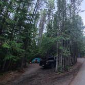 Review photo of Fish Creek Campground — Glacier National Park by Melissa W., September 5, 2022