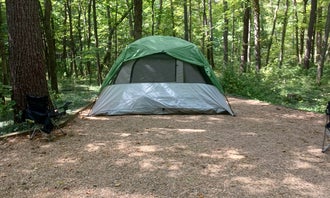 Camping near George Washington National Forest Shaws Fork Equestrian Campground: Brandywine Lake Campground — Shenandoah Wildlife Management Area, Brandywine, West Virginia