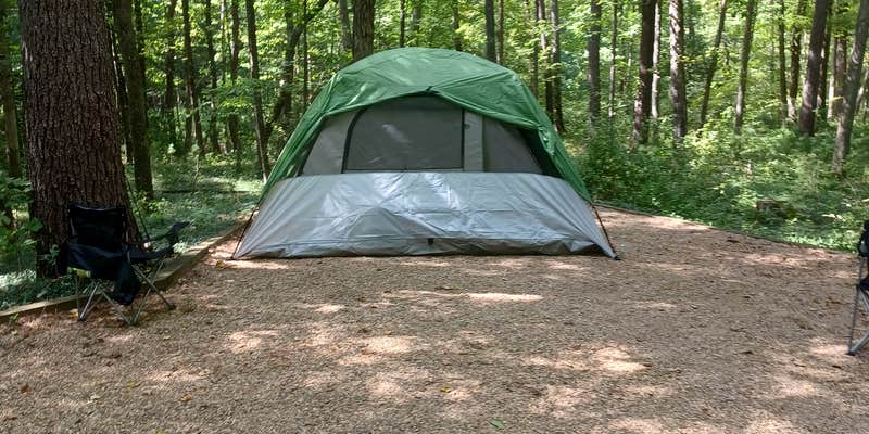 Camper submitted image from Brandywine Lake Campground — Shenandoah Wildlife Management Area