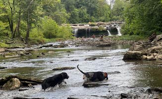 Austin M.'s photo of camping with pets at Sky Smith near Brownsburg, IN