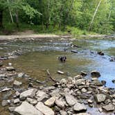 Review photo of Lieber State Recreation Area by Austin M., September 5, 2022