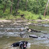 Review photo of Lieber State Recreation Area by Austin M., September 5, 2022