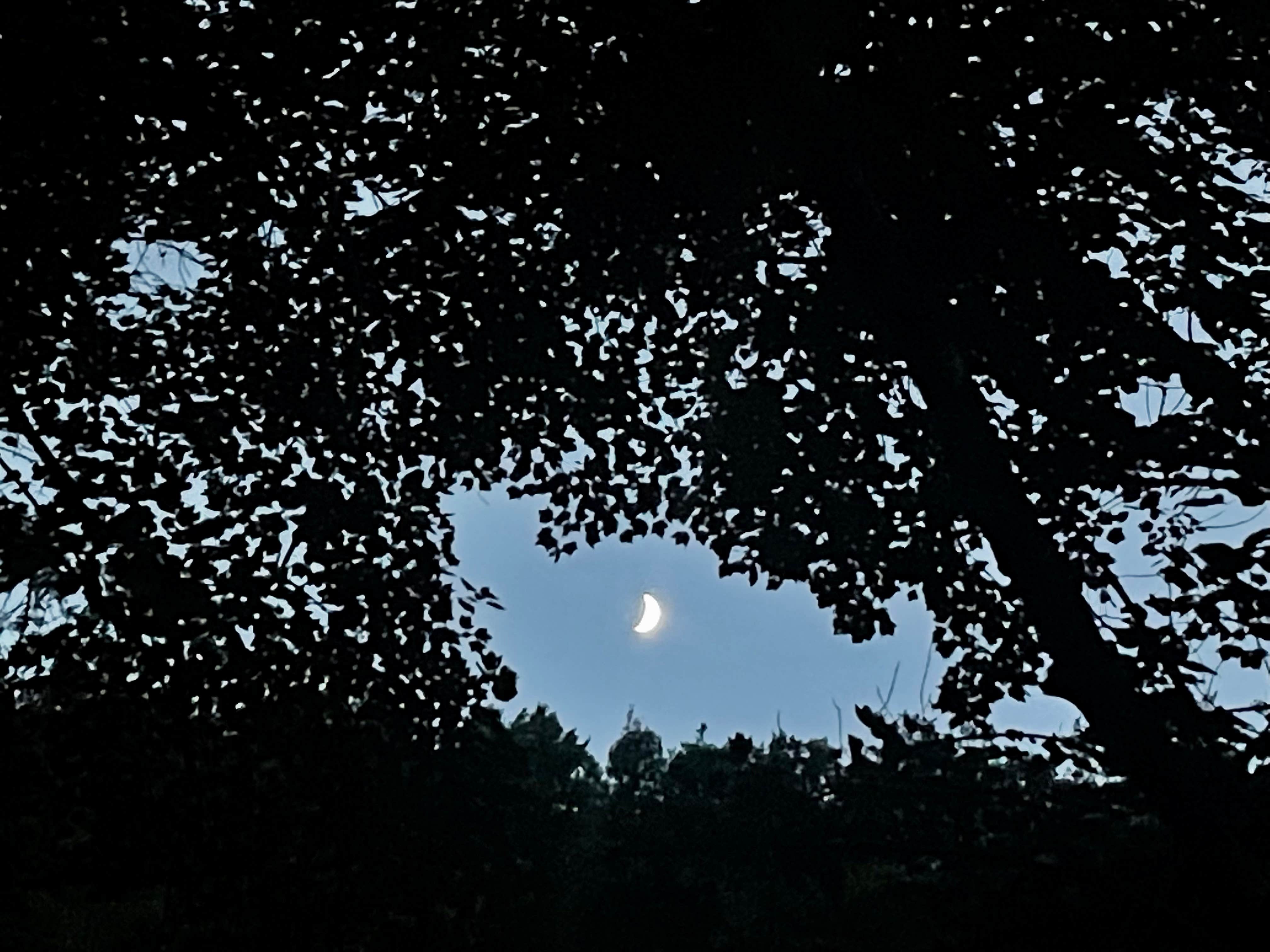 Camper-submitted photo at Brandywine Lake Campground — Shenandoah Wildlife Management Area near Singers Glen, VA