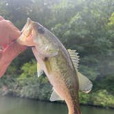 Review photo of Brandywine Lake Campground — Shenandoah Wildlife Management Area by Beth R., September 5, 2022