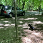 Review photo of Branch Brook Campground by Lorraine F., September 5, 2022