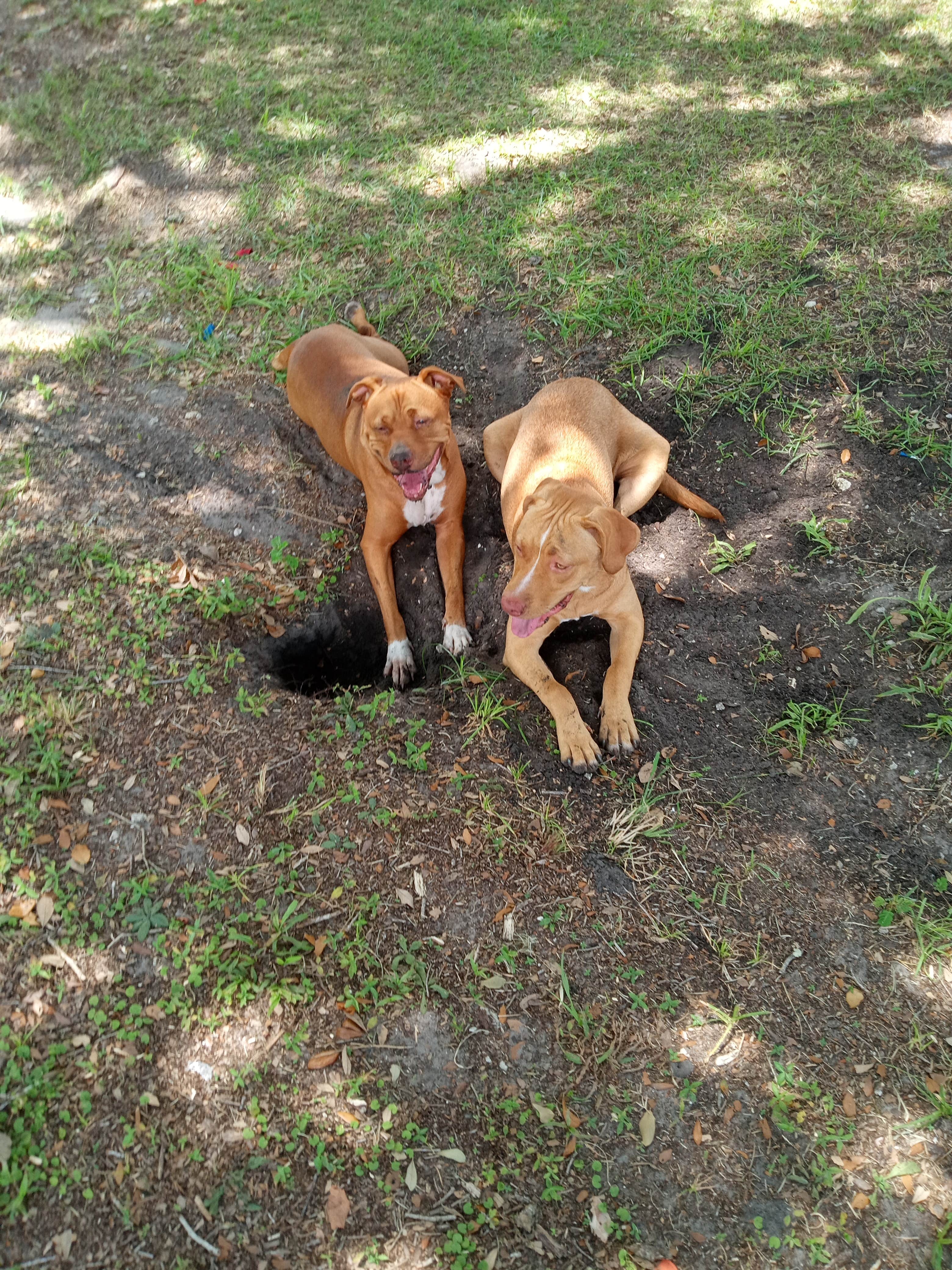 Camping near River Park RV Park: Rainbow Campground, Lake Park, Florida