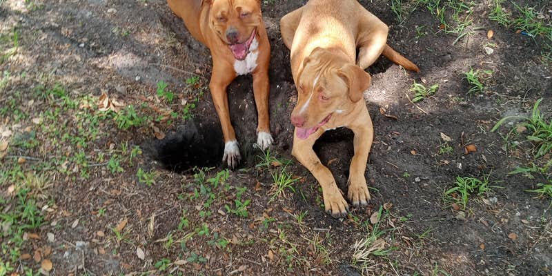 Camper submitted image from Rainbow Campground