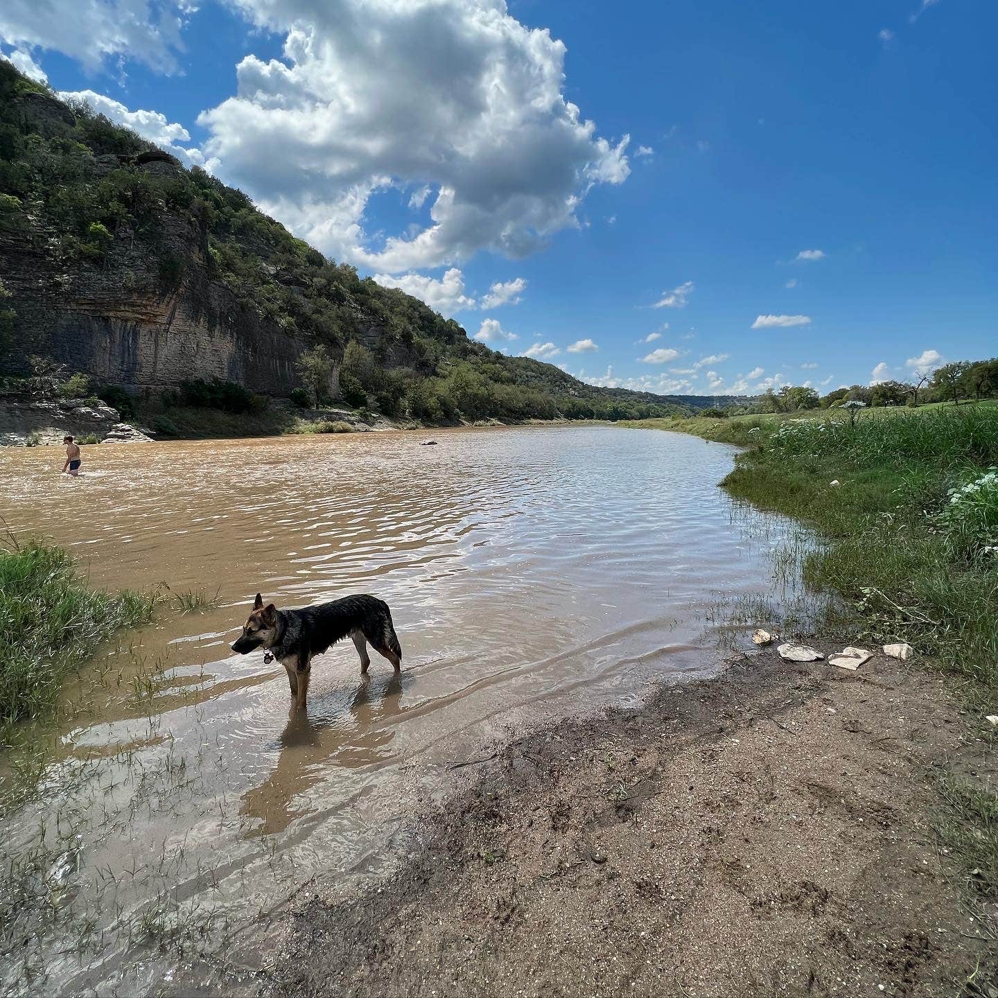 Alyssa's photo of camping with pets at Barefoot Fishing Camp & RV Park near Lampasas, TX