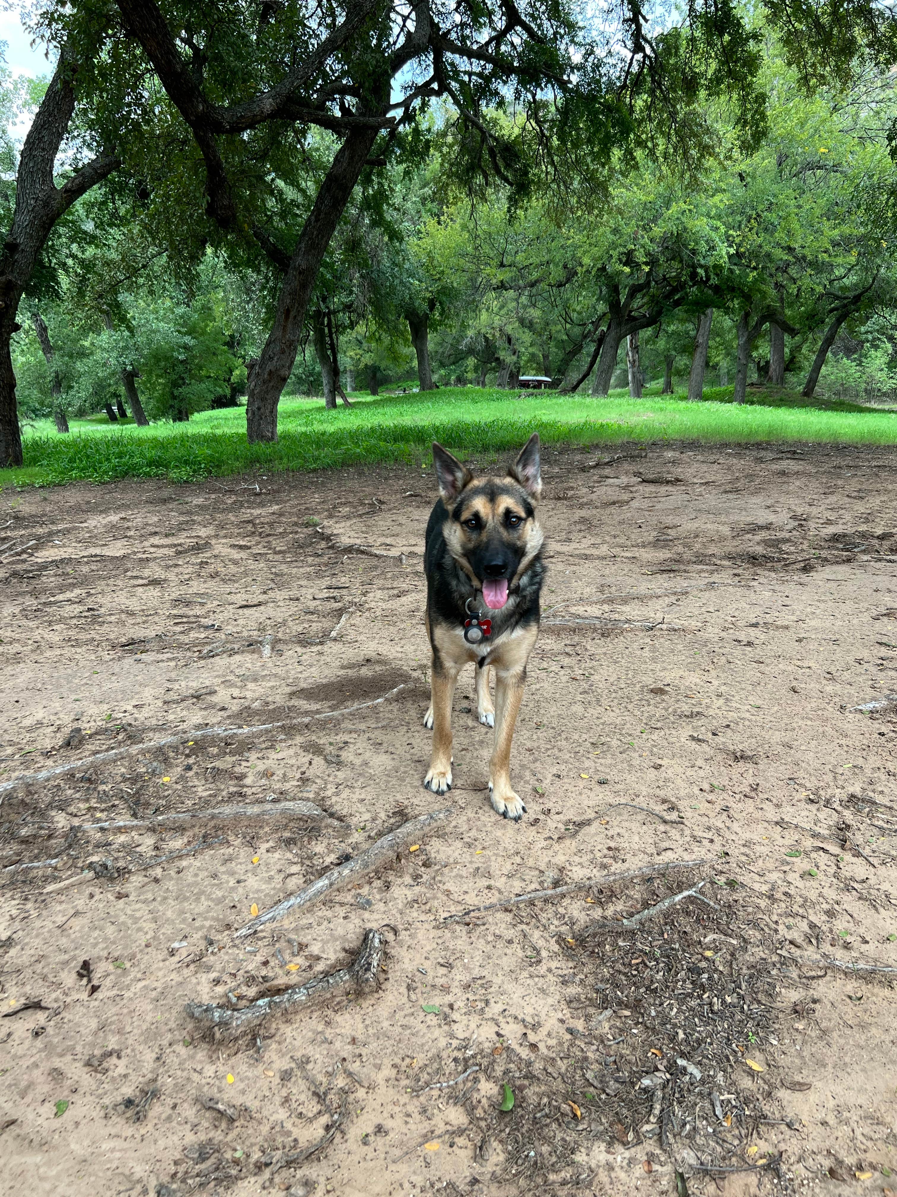 Alyssa's photo of camping with pets at Barefoot Fishing Camp & RV Park near Lampasas, TX
