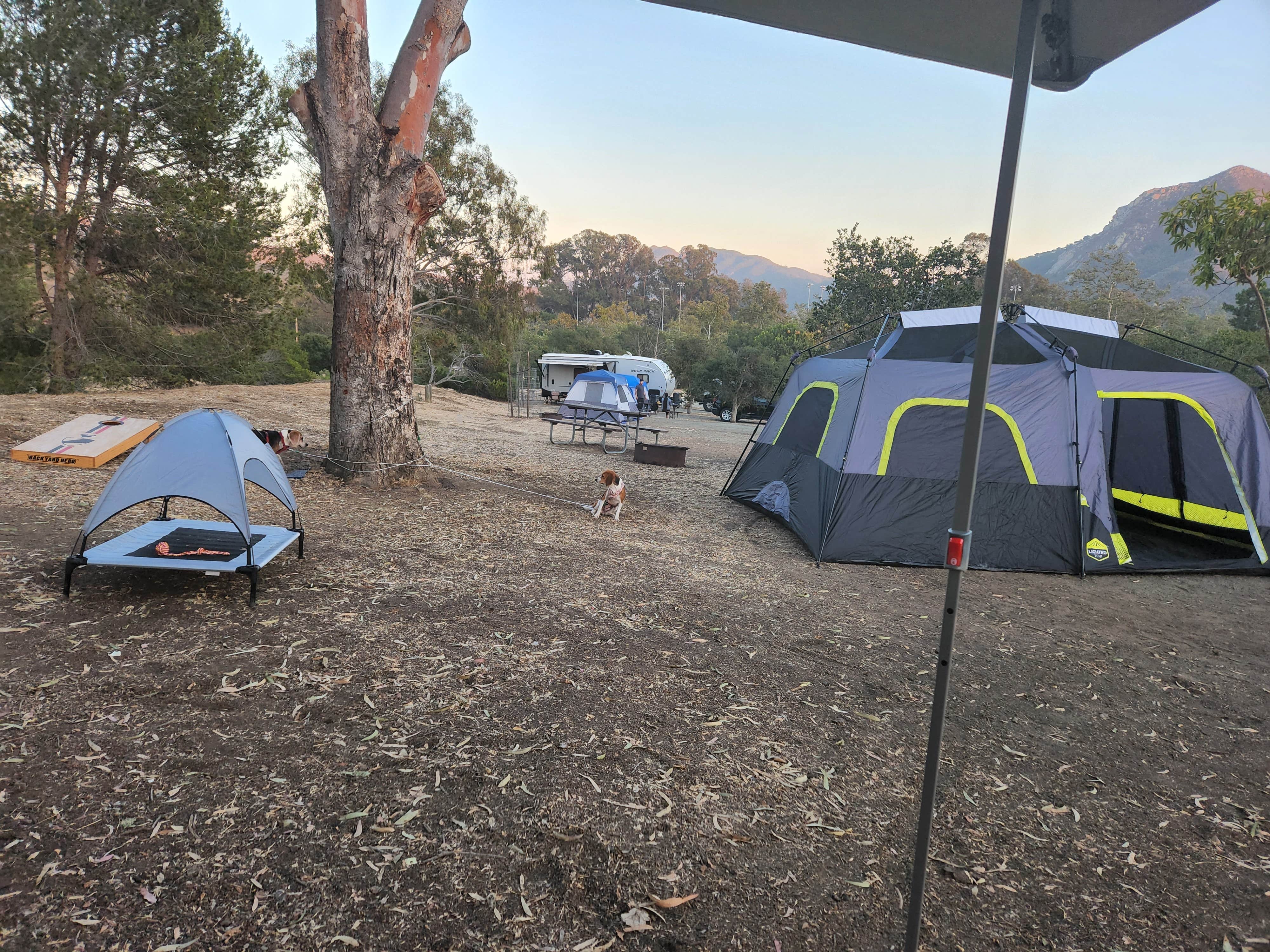 El Chorro Regional Park Camping San Luis Obispo, CA