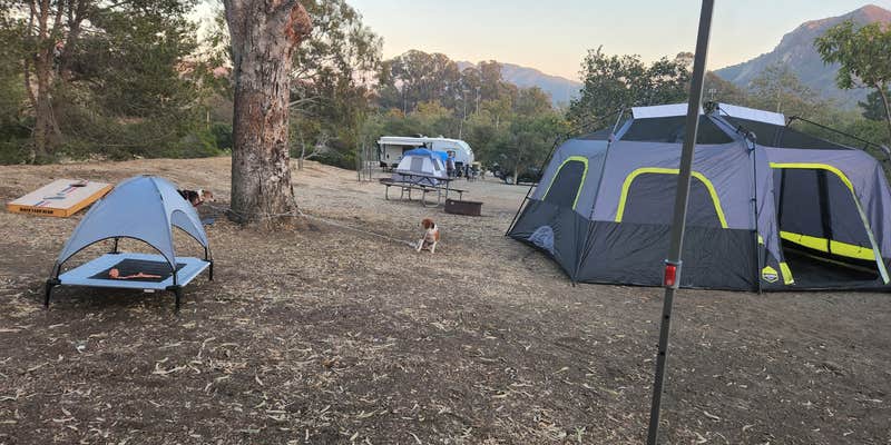 Camper submitted image from El Chorro Regional Park