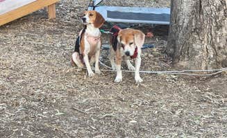 Katie W.'s photo at El Chorro Regional Park near Avilla Beach, CA