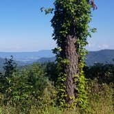 Review photo of Loft Mountain Campground — Shenandoah National Park by Jennifer K., September 6, 2022