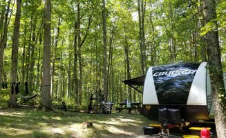 Jennifer K.'s photo at Morris Hill Campground near Warm Springs, VA