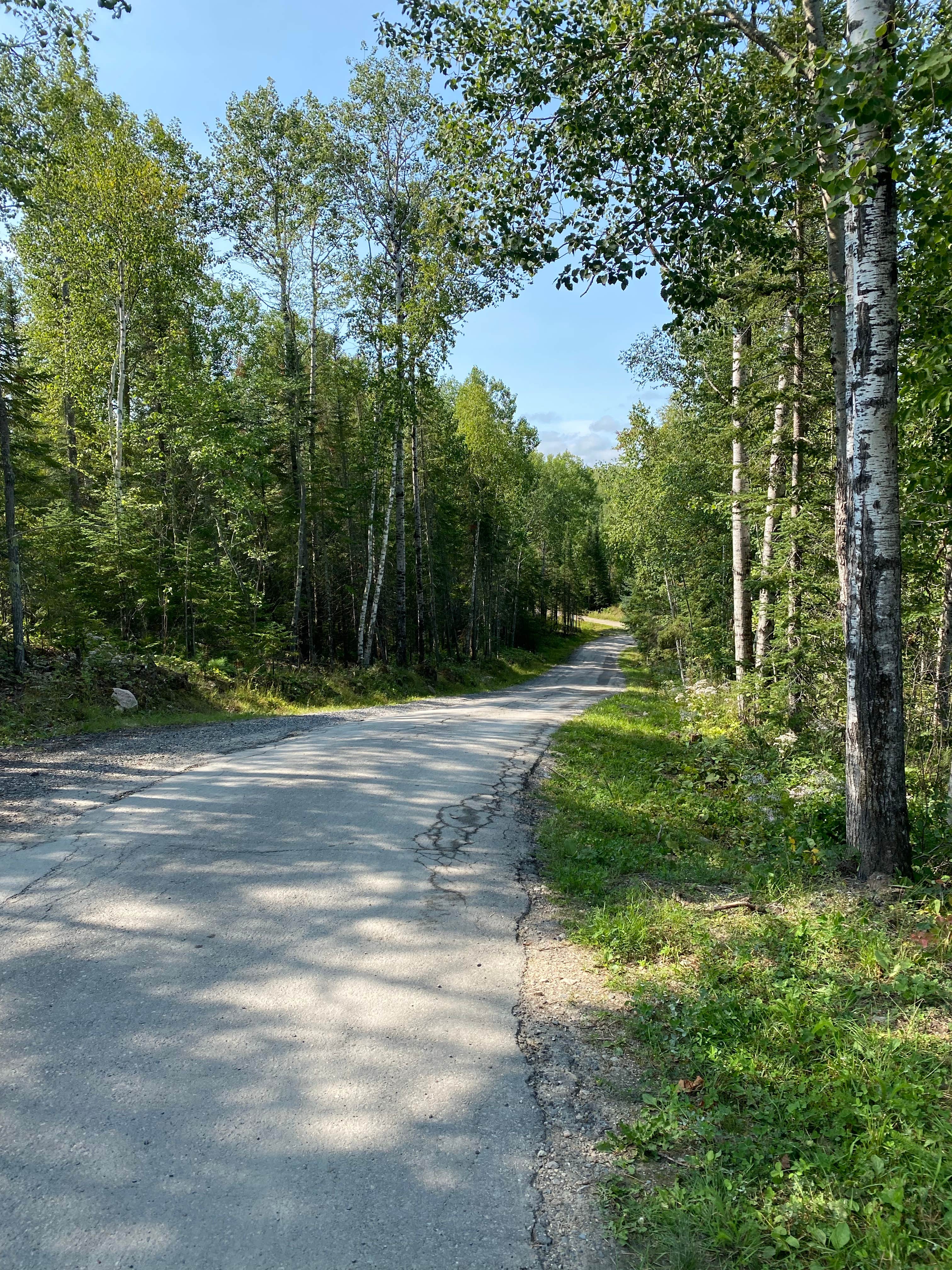 Camper submitted image from The Pines of Kabetogama Resort - 3